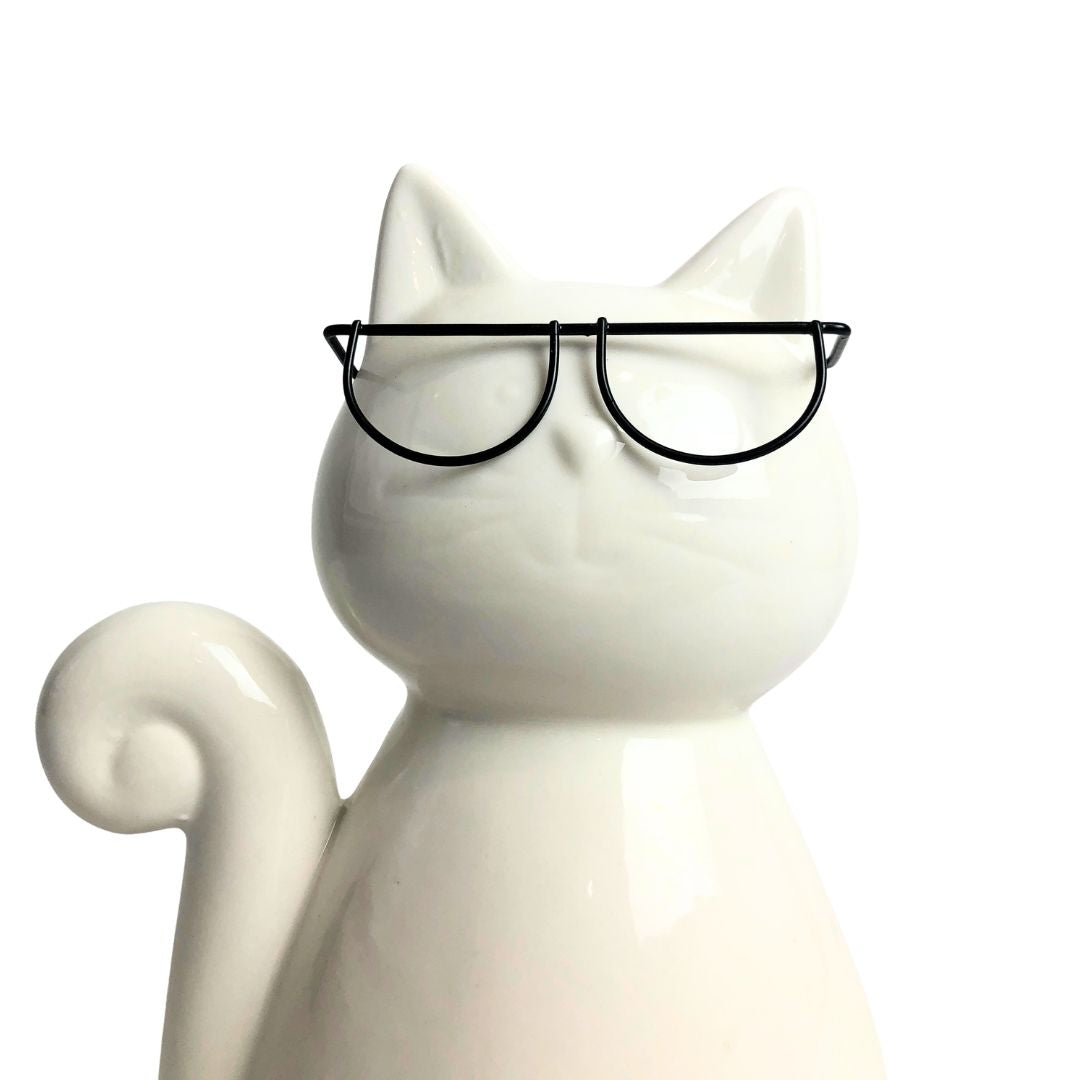Gato Intelectual Figura