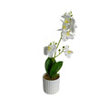 Maceta artificial orquídea blanco