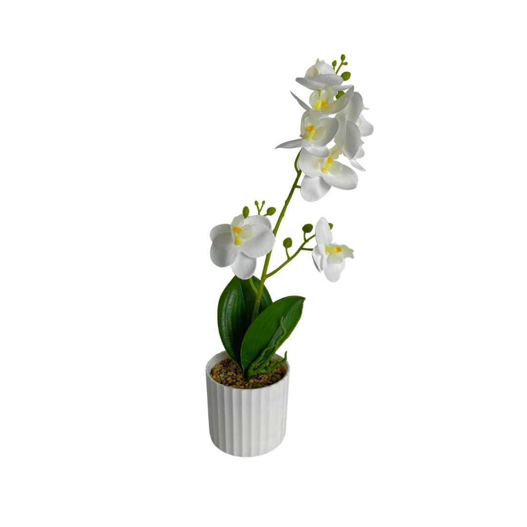Maceta artificial orquídea blanco