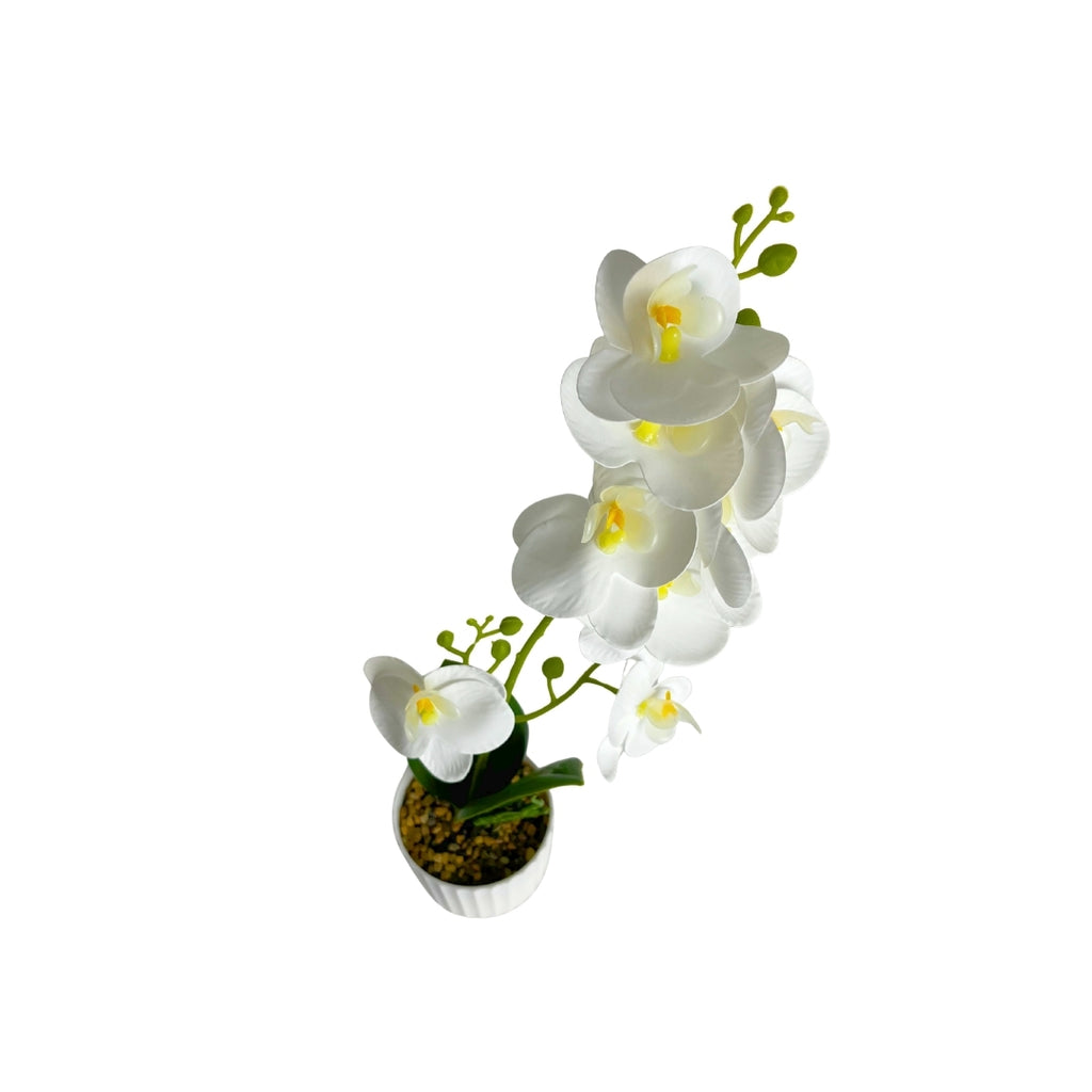 Maceta artificial orquídea blanco