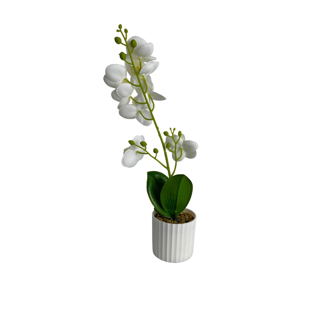 Maceta artificial orquídea blanco