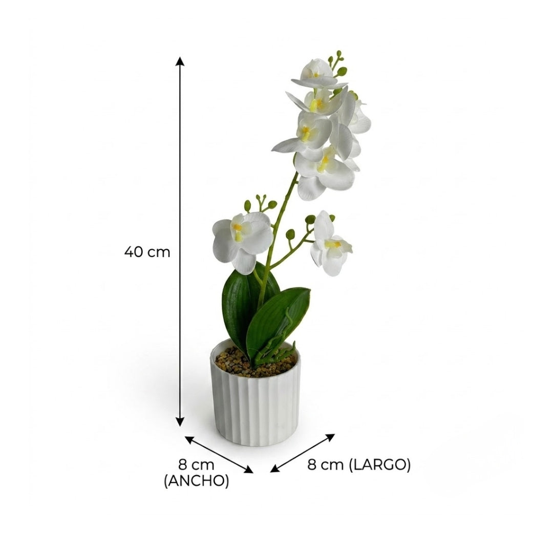 Maceta artificial orquídea blanco