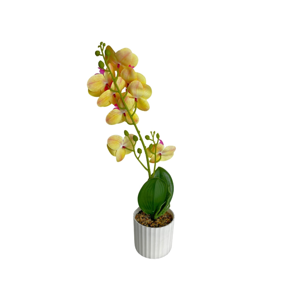 Maceta artificial orquídea amarillo