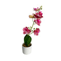 Maceta artificial orquídea decorativa rosa con puntos