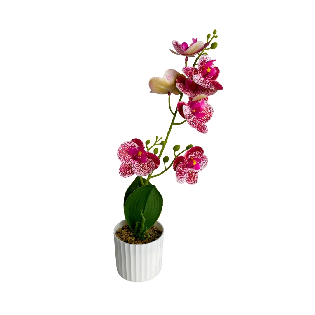 Maceta artificial orquídea decorativa rosa con puntos