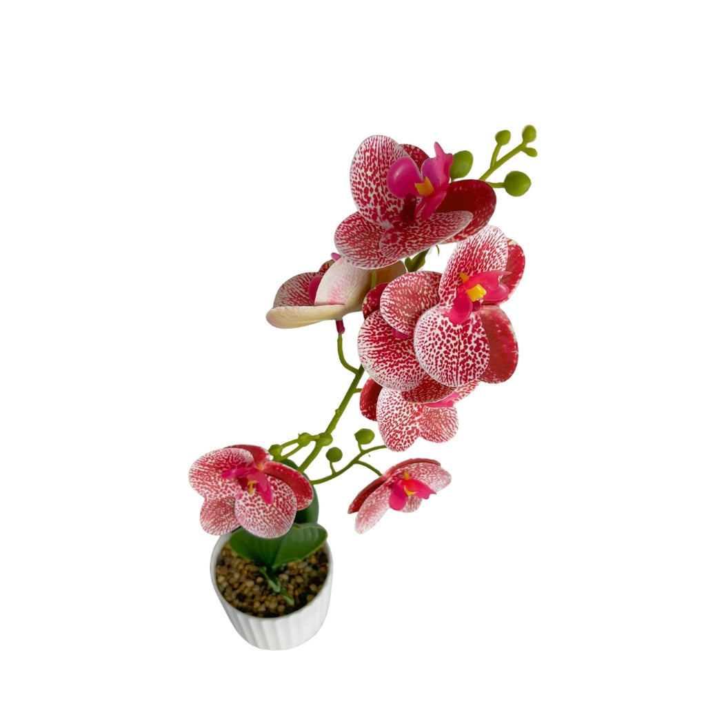 Maceta artificial orquídea decorativa rosa con puntos