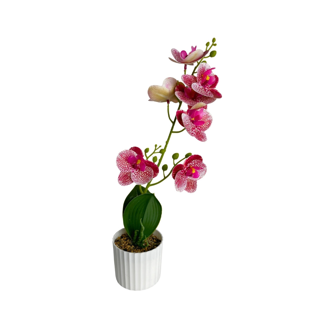 Maceta artificial orquídea decorativa rosa con puntos
