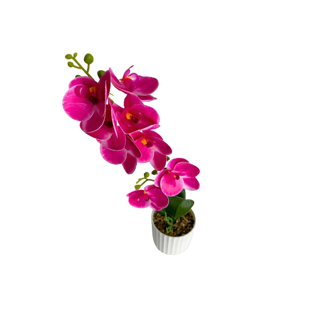 Maceta artificial orquídea decorativa fucsia