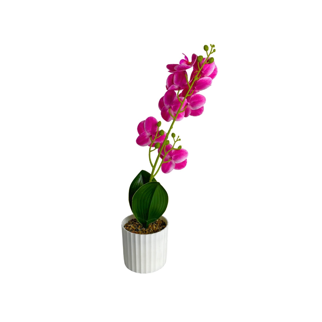 Maceta artificial orquídea decorativa fucsia