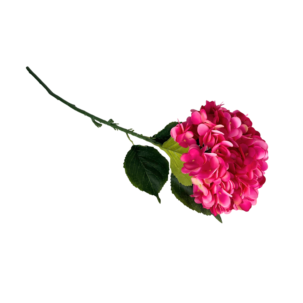 Set de 6 hortensia rosa fuerte