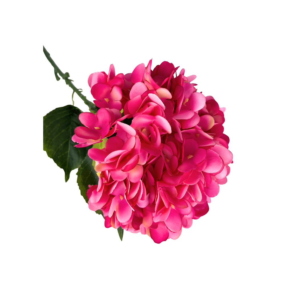Set de 6 hortensia rosa fuerte