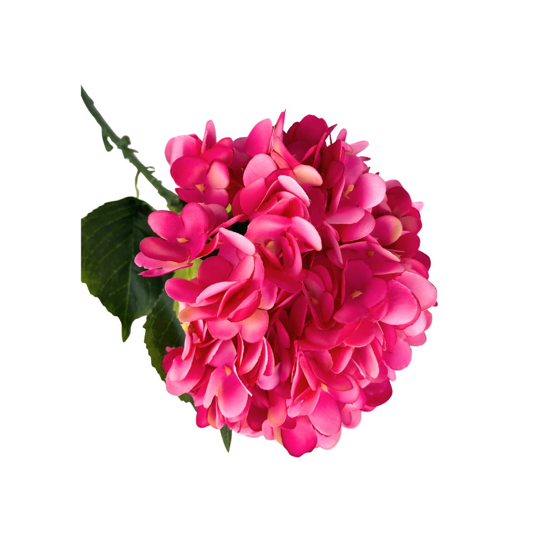 Set de 6 hortensia rosa fuerte