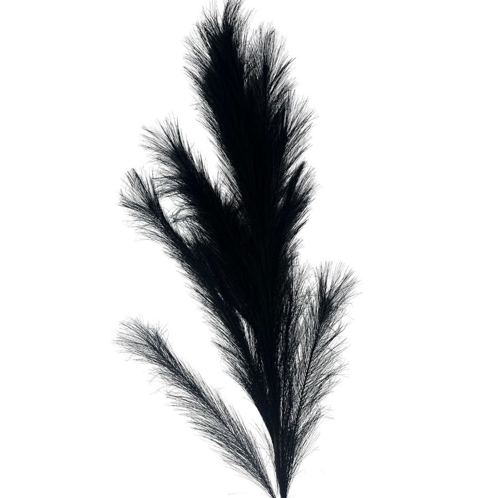 Set de 6 flor pampas negro artificiales