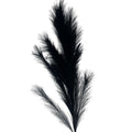 Set de 6 flor pampas negro artificiales