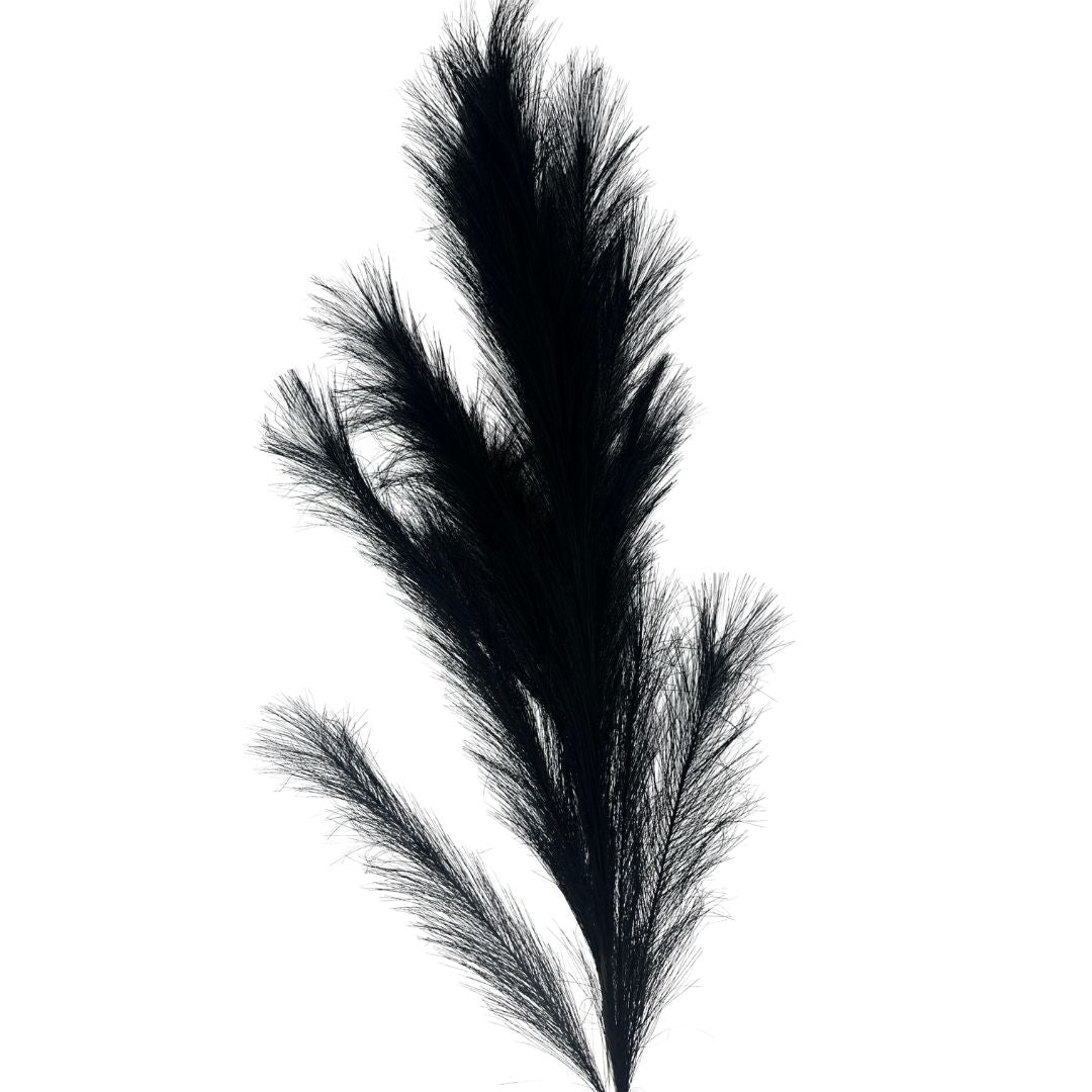 Set de 6 flor pampas negro artificiales