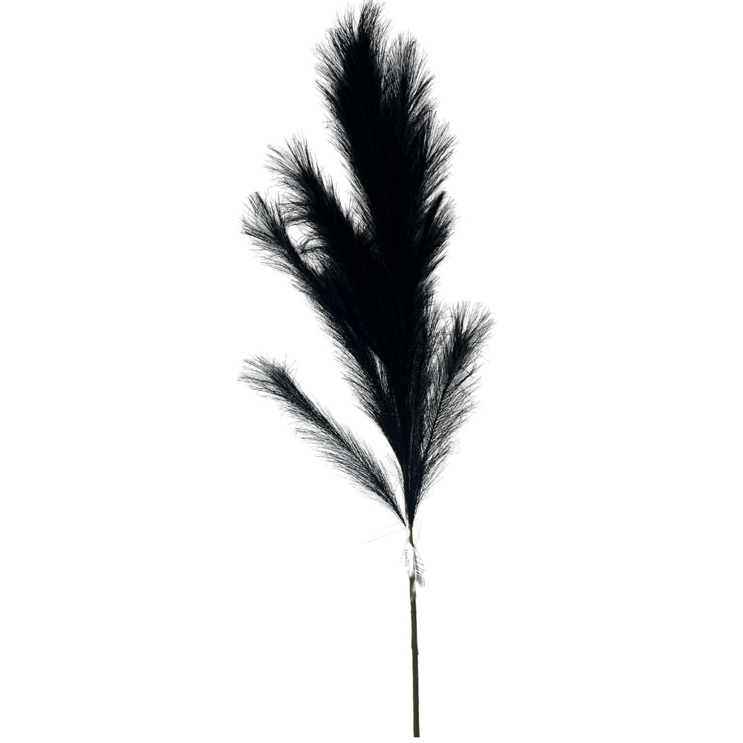 Set de 6 flor pampas negro artificiales