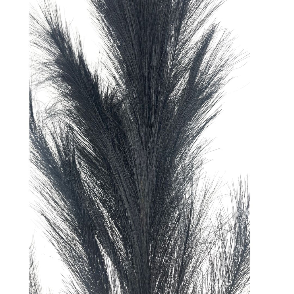 Set de 6 flor pampas negro artificiales