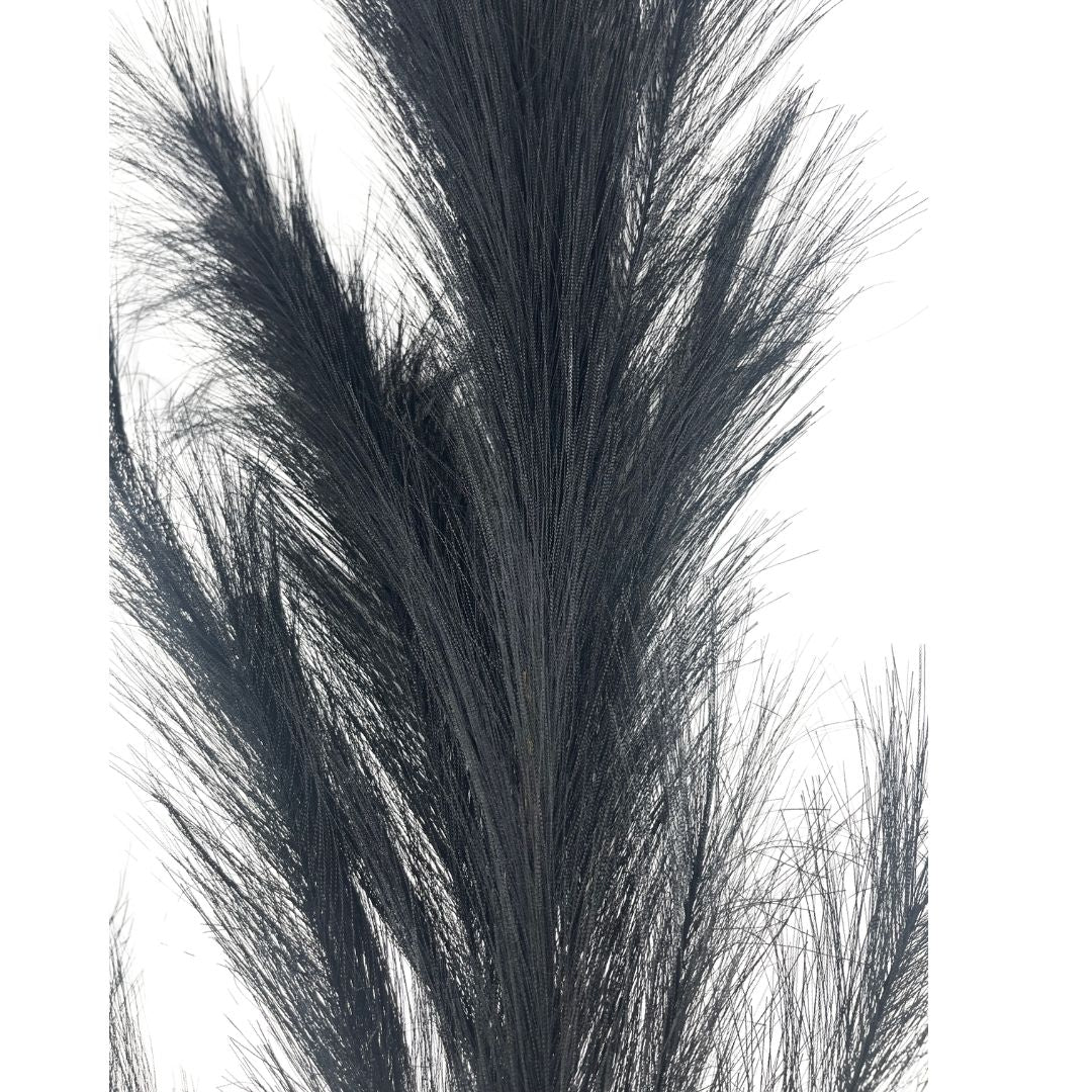 Set de 6 flor pampas negro artificiales