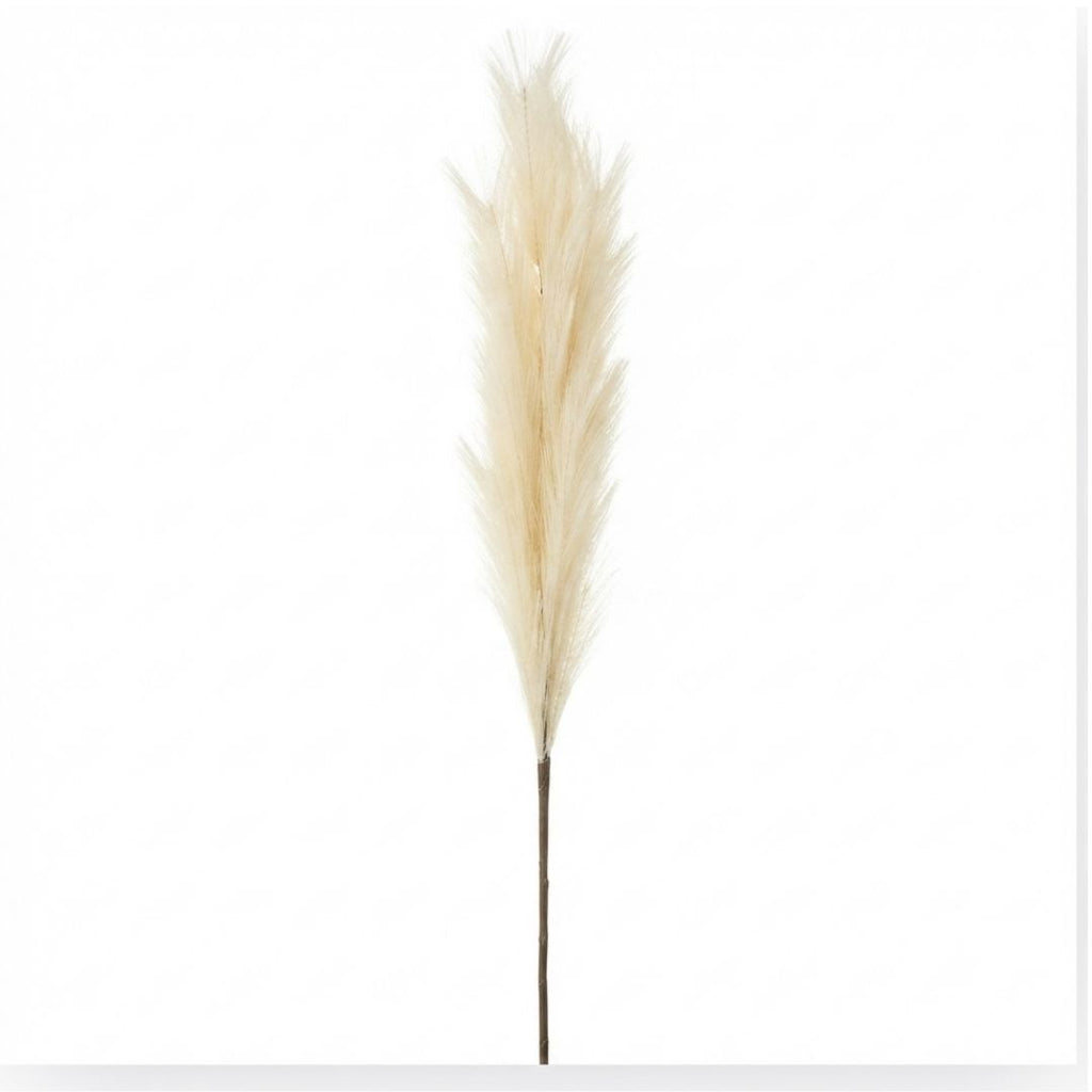 Set de 6 flor pampas crema artificial