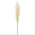 Set de 6 flor pampas crema artificial