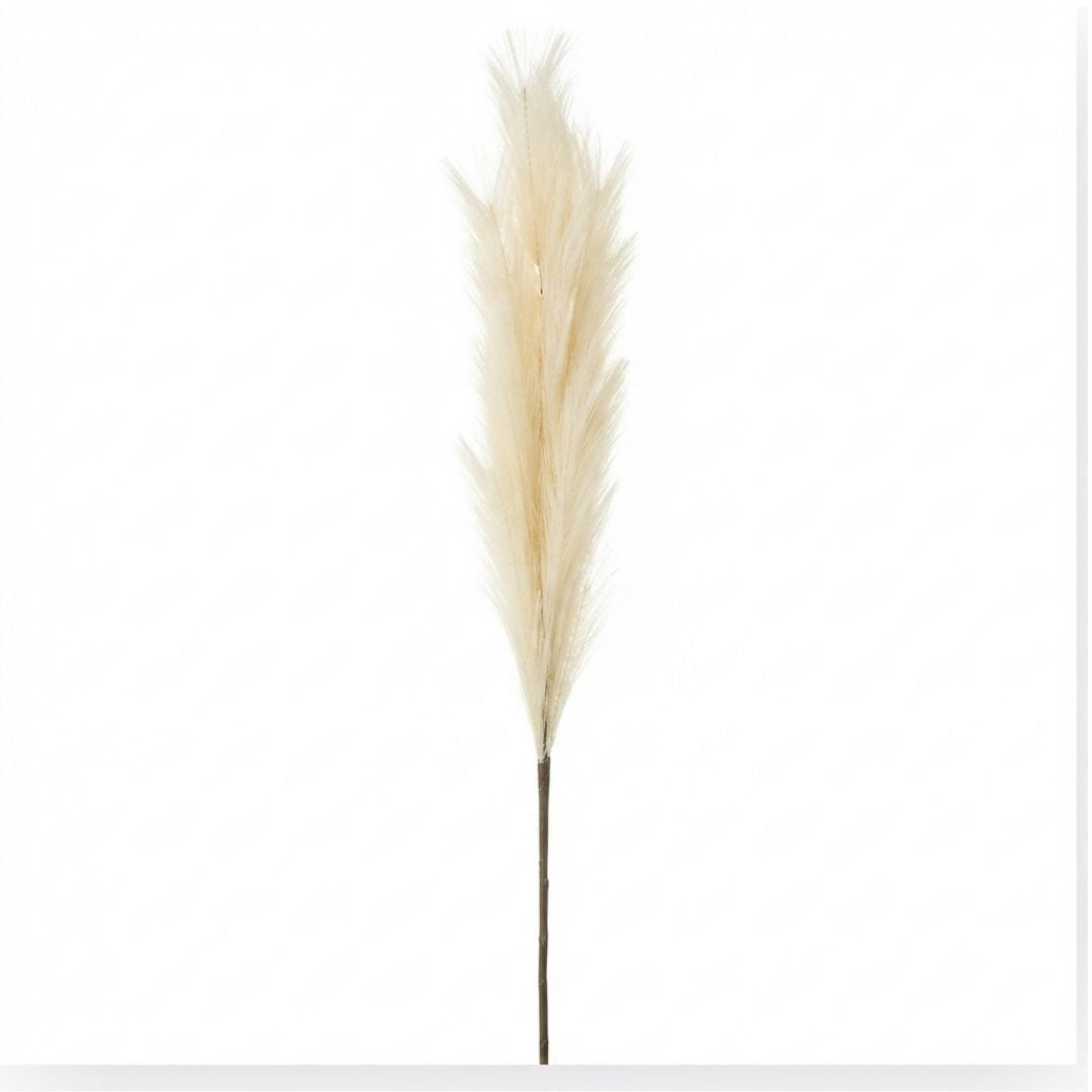 Set de 6 flor pampas crema artificial