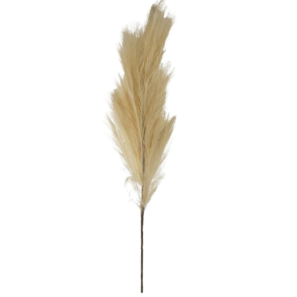 Set de 6 flor pampas natural artificial