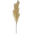 Set de 6 flor pampas natural artificial