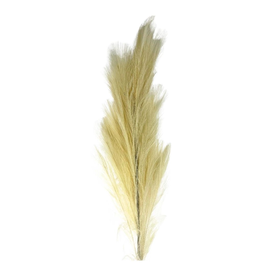 Set de 6 flor pampas natural artificial