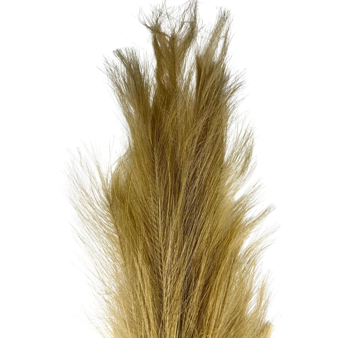 Set de 6 flor pampas dorada