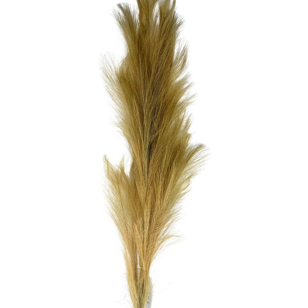 Set de 6 flor pampas dorada