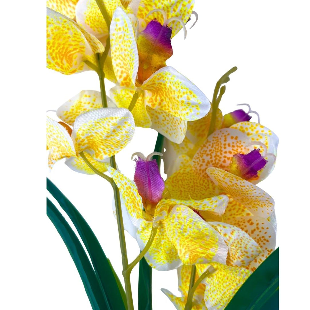Set de 6 orquídea amarilla artificial