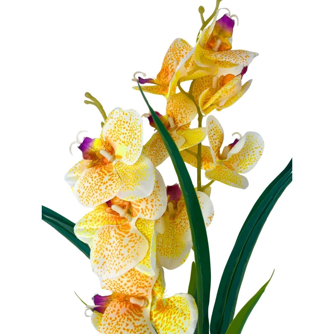 Set de 6 orquídea amarilla artificial