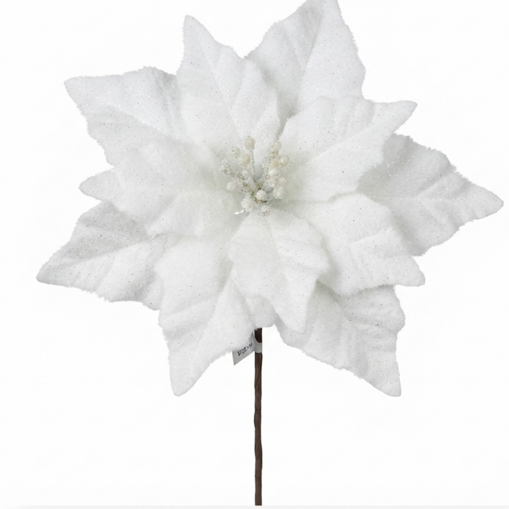 Rama de nochebuena blanca