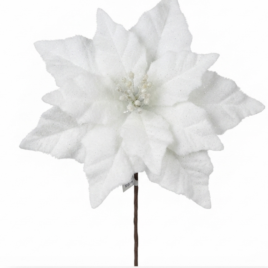 Rama de nochebuena blanca