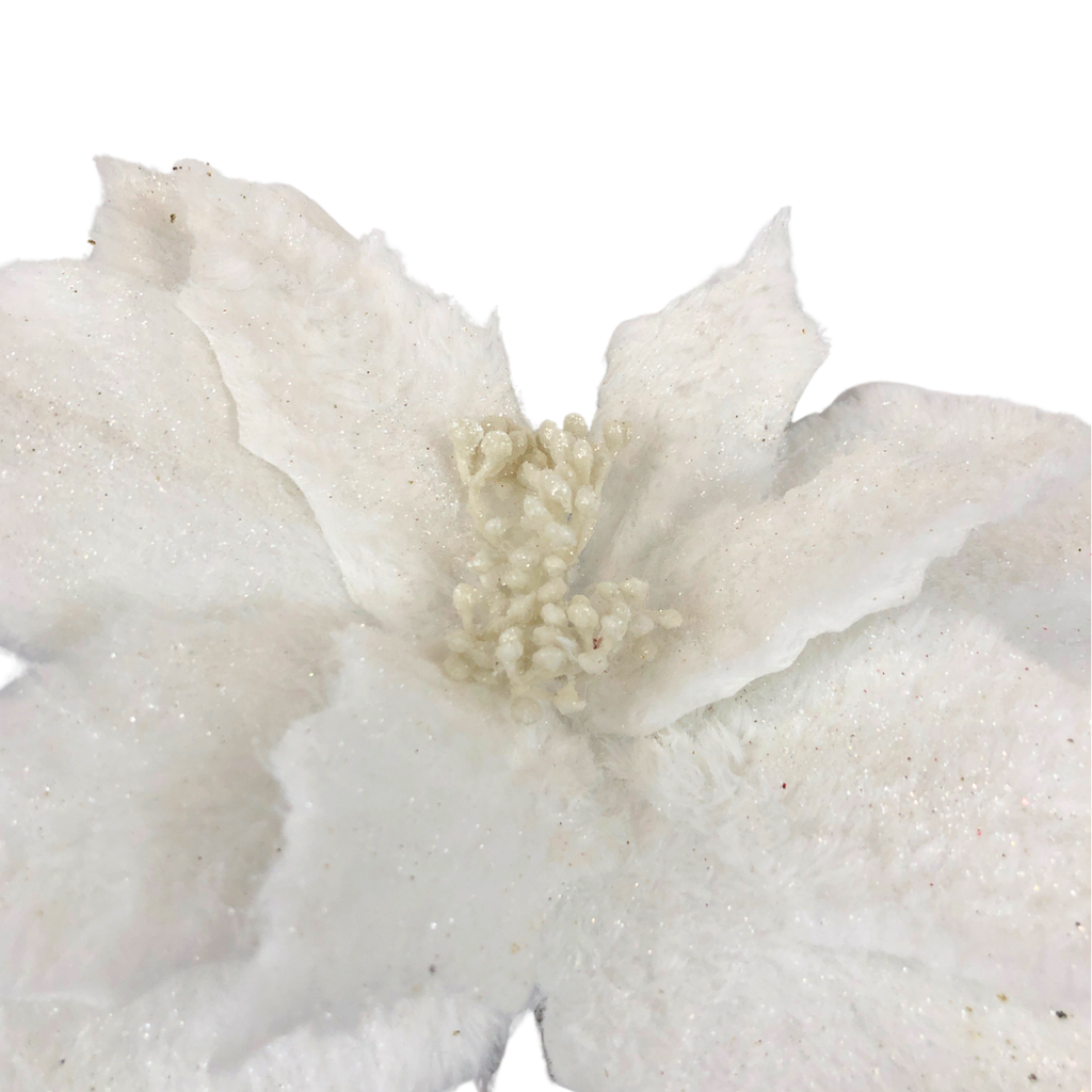 Rama de nochebuena blanca