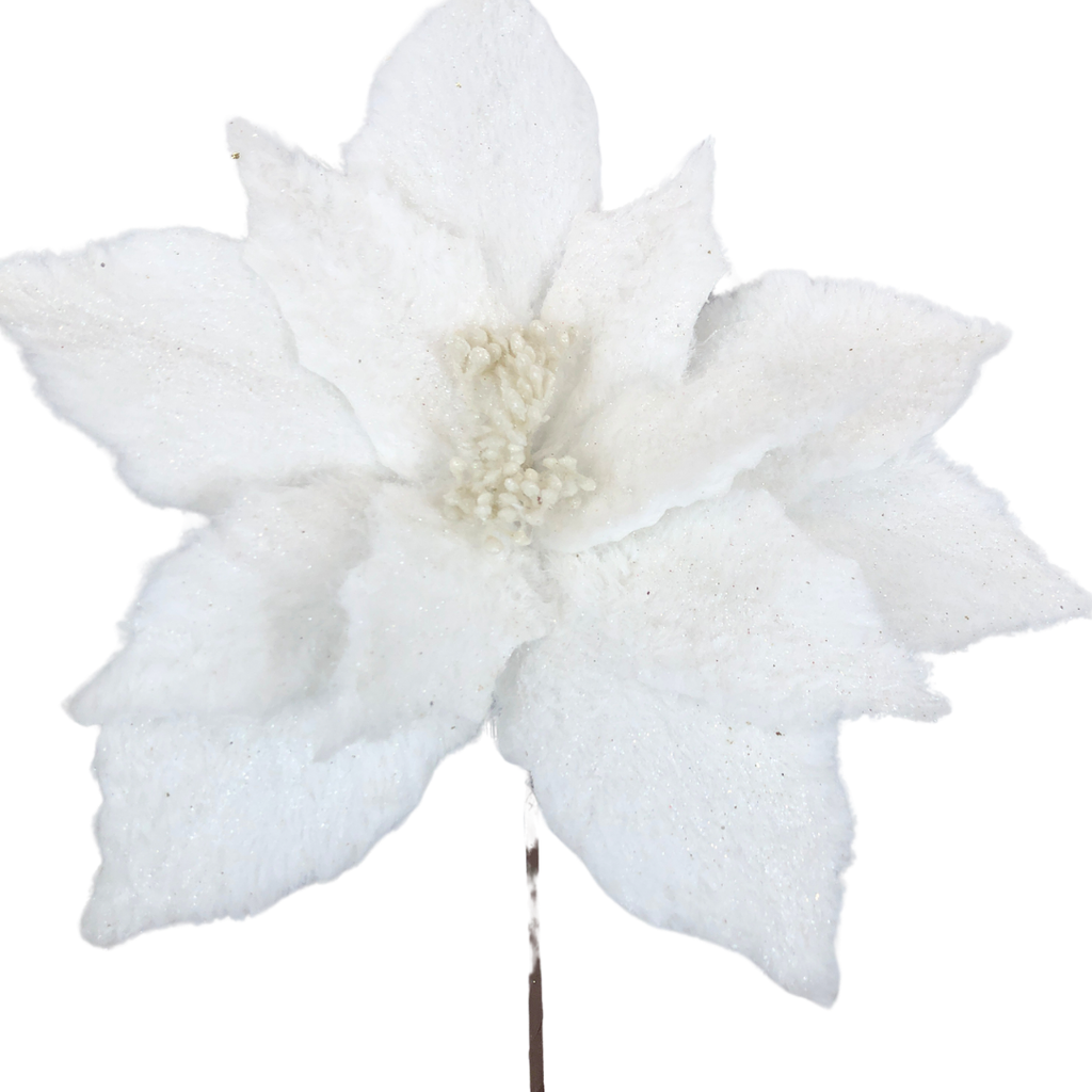 Rama de nochebuena blanca