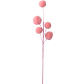 Rama bombón rosa