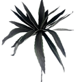 Set de 6 agave verde oscuro artificial