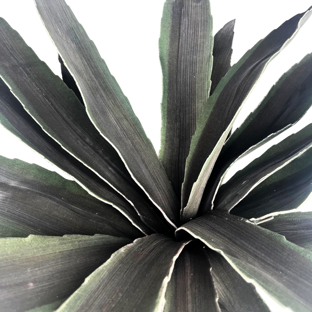 Set de 6 agave verde oscuro artificial