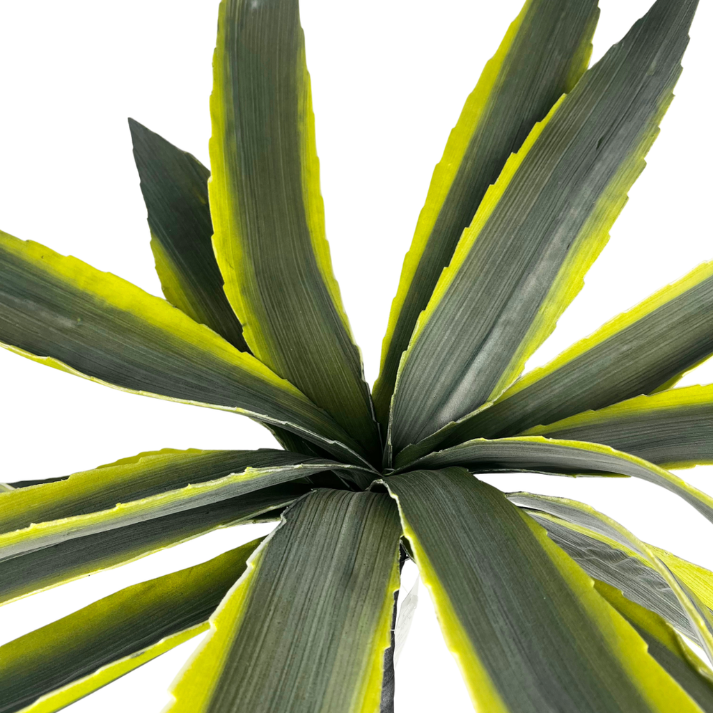 Set de 6 agave verde artificial