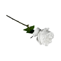 Set de 6 rosas artificiales blancas