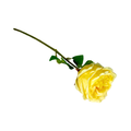 Set de 6 rosas artificiales crema