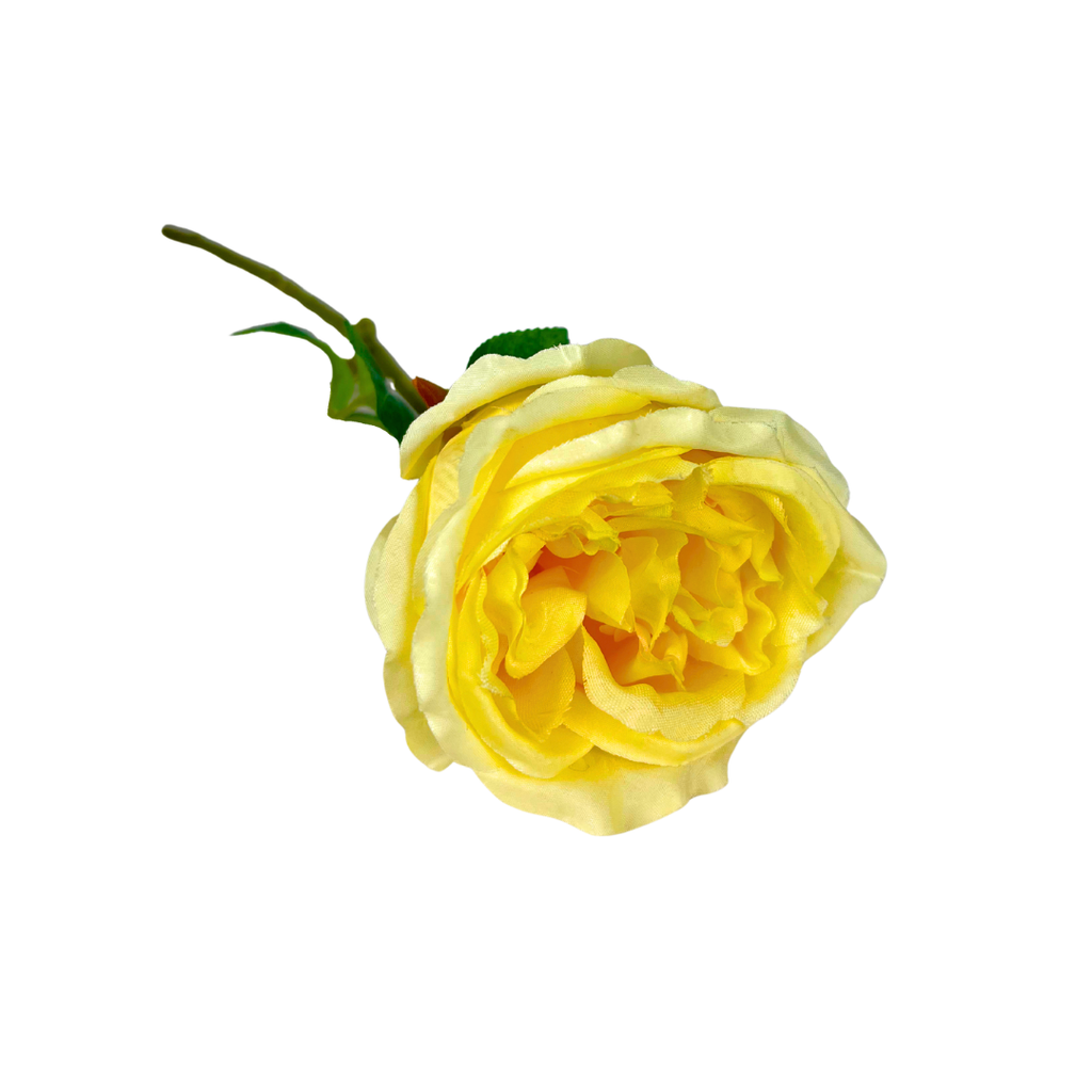 Set de 6 rosas artificiales crema